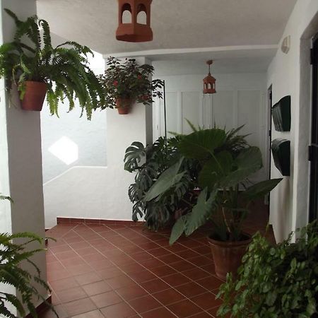 Apartamento En Conil Conil De La Frontera Exteriér fotografie