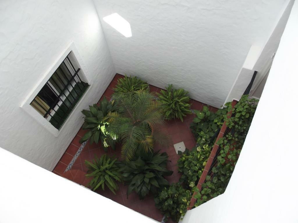 Apartamento En Conil Conil De La Frontera Exteriér fotografie